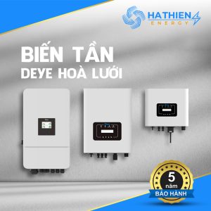 Deye Hoà Lưới