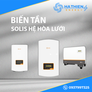 Solis Hoà Lưới